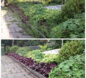 Aanleggen van nieuwe beplanting