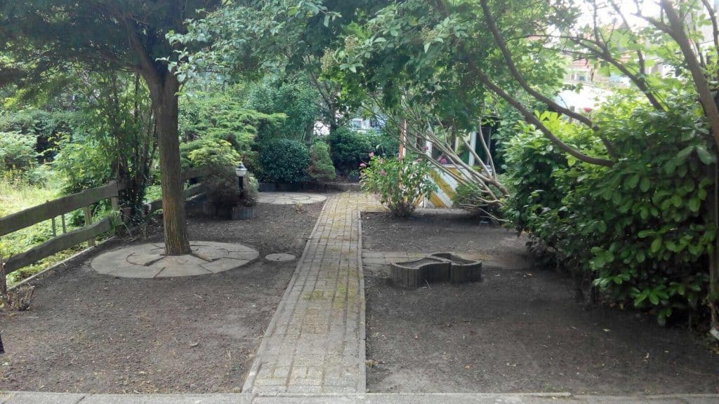19620973_1511484695580655_3071099693078837414_o Tuinonderhoud verwilderde tuin