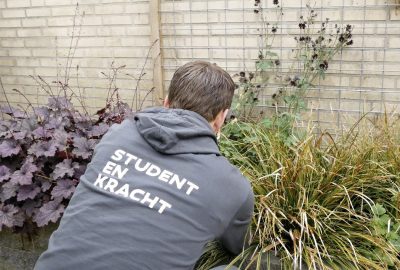 Onderhoud tuin tijdens vakantie