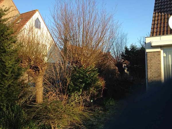wilgen knotten
