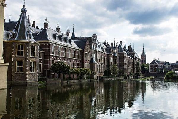 Je boom laten kappen in Den Haag Binnenhof Den Haag waar wij tevens ook bomen kappen